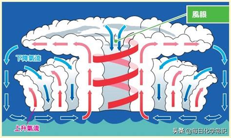 颱風的形成兒童|你知道颱風怎麼形成的嗎！？